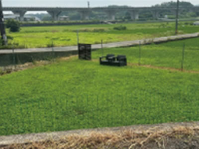 大和の里体験農園-ワンちゃん広場