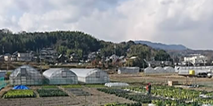 大和の里体験農園